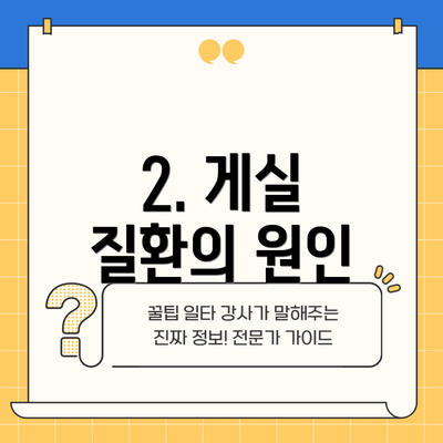 2. 게실 질환의 원인