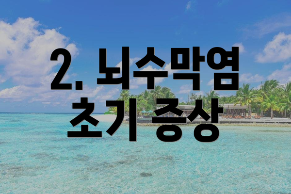 2. 뇌수막염 초기 증상