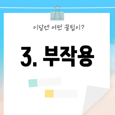 3. 부작용