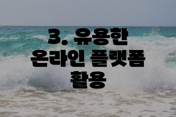 3. 유용한 온라인 플랫폼 활용