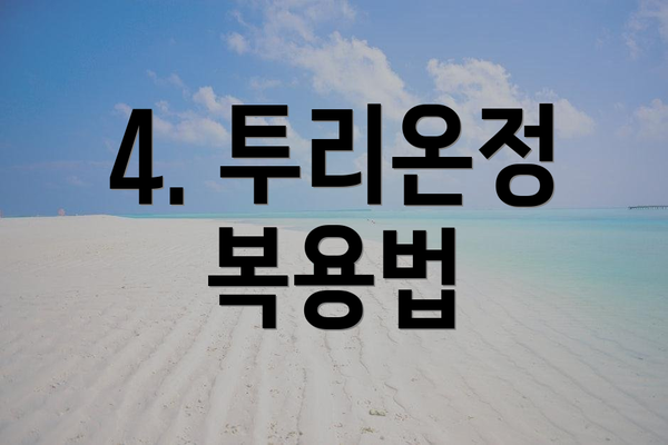 4. 투리온정 복용법