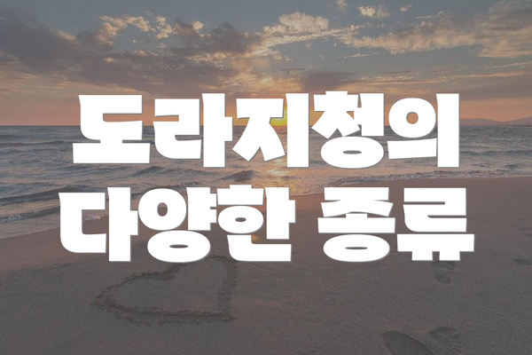 도라지청의 다양한 종류