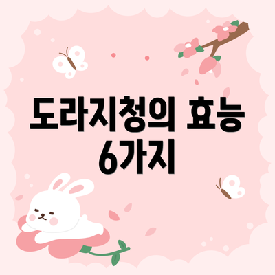 도라지청의 효능 6가지