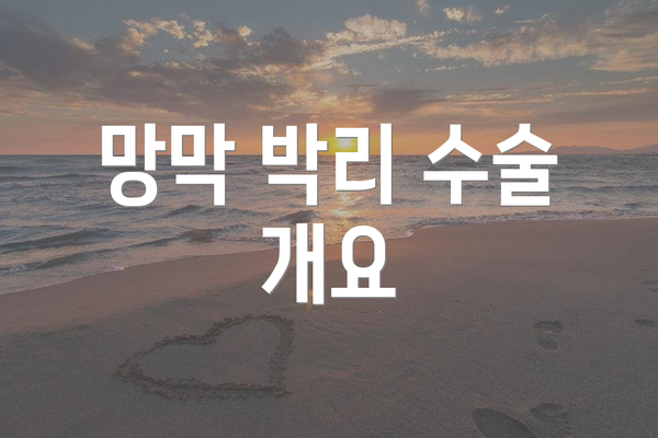 망막 박리 수술 개요