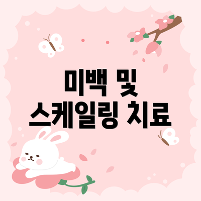 미백 및 스케일링 치료