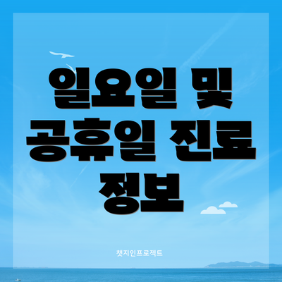 일요일 및 공휴일 진료 정보