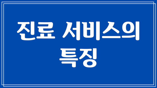 진료 서비스의 특징