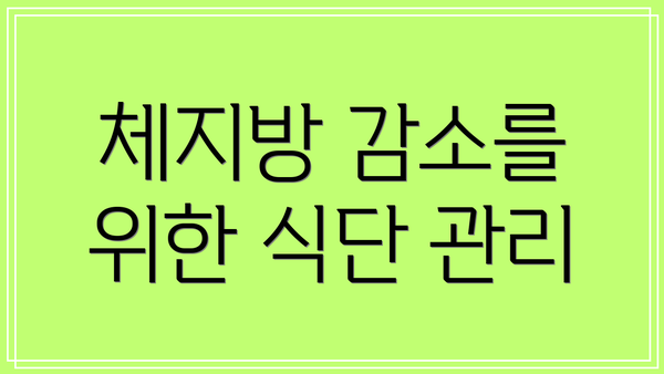 체지방 감소를 위한 식단 관리